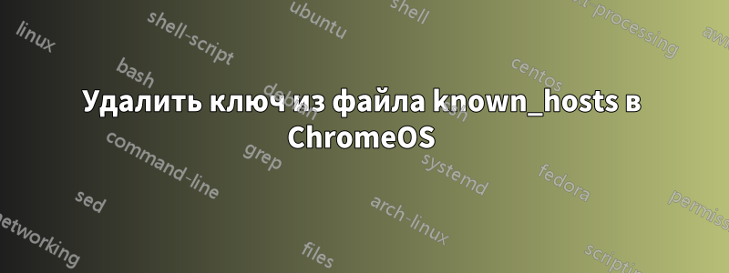 Удалить ключ из файла known_hosts в ChromeOS