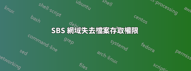 SBS 網域失去檔案存取權限