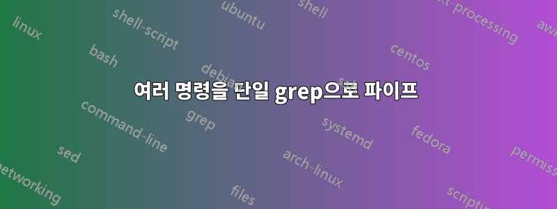 여러 명령을 단일 grep으로 파이프
