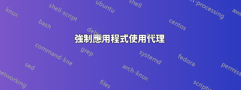 強制應用程式使用代理