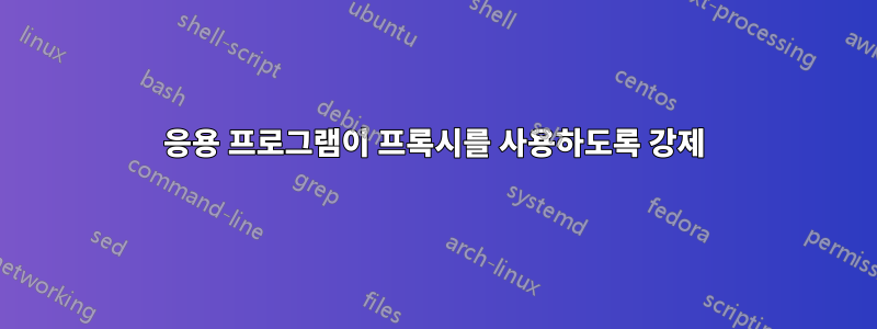 응용 프로그램이 프록시를 사용하도록 강제