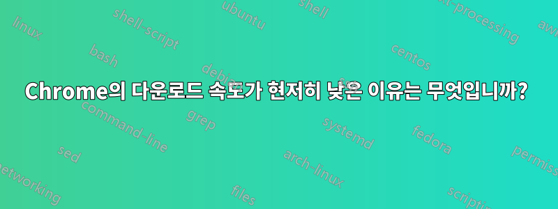 Chrome의 다운로드 속도가 현저히 낮은 이유는 무엇입니까?