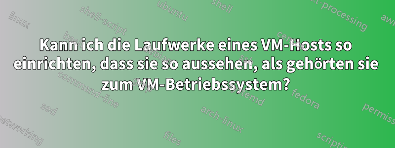 Kann ich die Laufwerke eines VM-Hosts so einrichten, dass sie so aussehen, als gehörten sie zum VM-Betriebssystem?