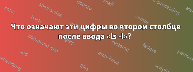 Что означают эти цифры во втором столбце после ввода «ls -l»? 