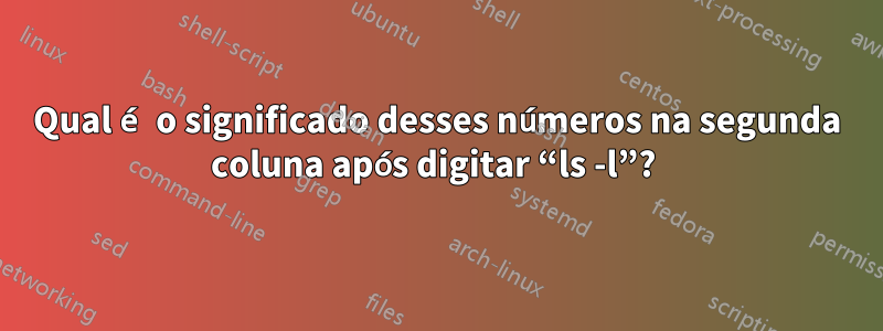 Qual é o significado desses números na segunda coluna após digitar “ls -l”? 
