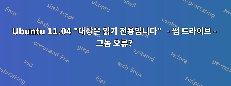 Ubuntu 11.04 "대상은 읽기 전용입니다" - 썸 드라이브 - 그놈 오류?