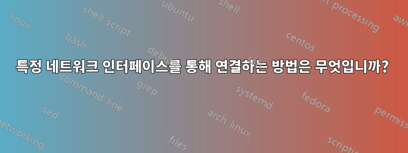 특정 네트워크 인터페이스를 통해 연결하는 방법은 무엇입니까?