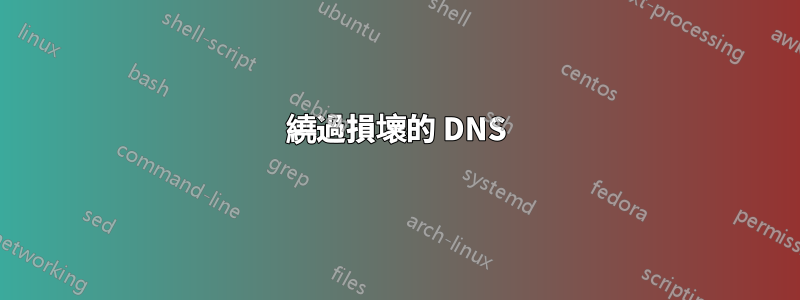 繞過損壞的 DNS