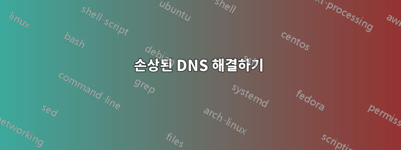 손상된 DNS 해결하기