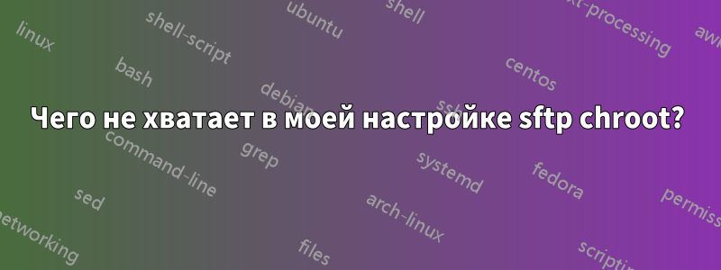 Чего не хватает в моей настройке sftp chroot?