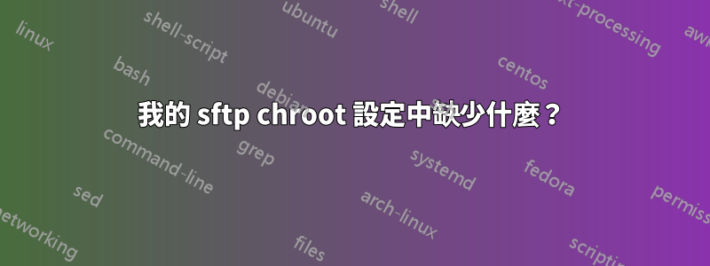 我的 sftp chroot 設定中缺少什麼？