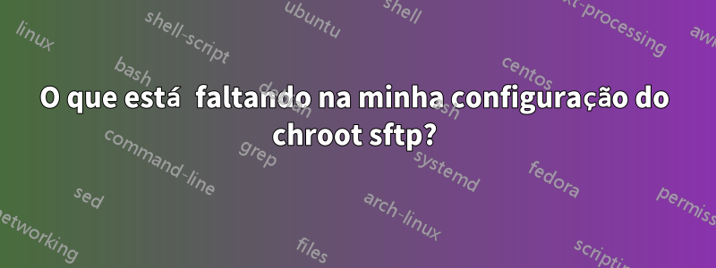 O que está faltando na minha configuração do chroot sftp?