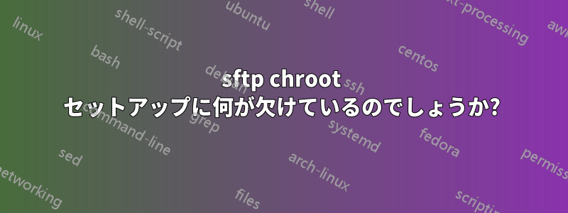 sftp chroot セットアップに何が欠けているのでしょうか?