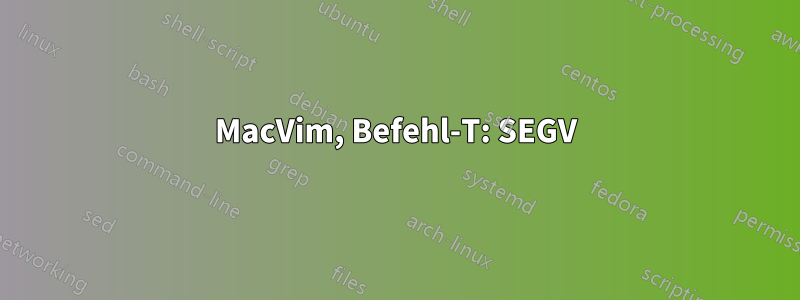 MacVim, Befehl-T: SEGV