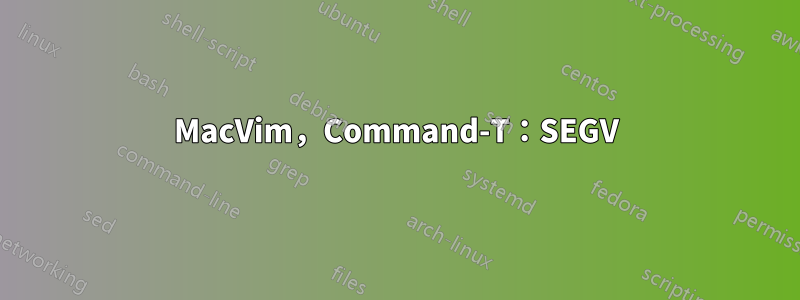 MacVim，Command-T：SEGV