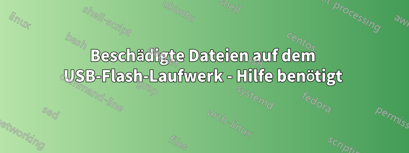 Beschädigte Dateien auf dem USB-Flash-Laufwerk - Hilfe benötigt