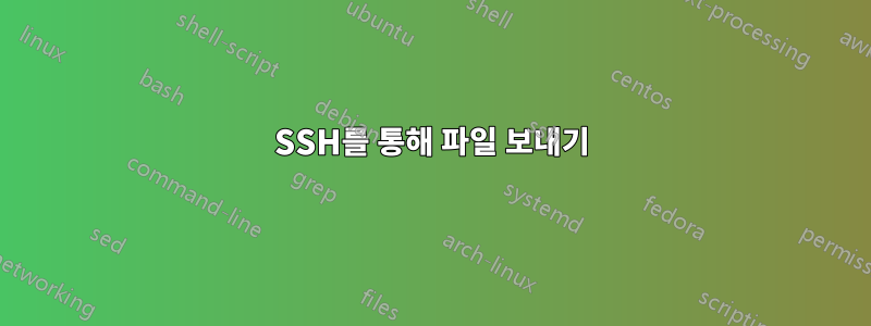 SSH를 통해 파일 보내기