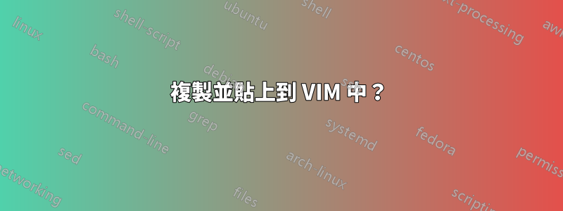 複製並貼上到 VIM 中？