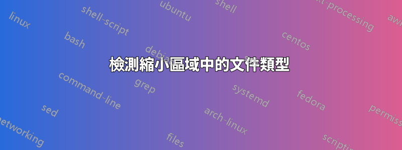 檢測縮小區域中的文件類型