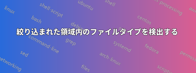 絞り込まれた領域内のファイルタイプを検出する