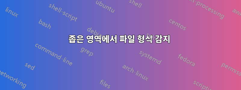 좁은 영역에서 파일 형식 감지
