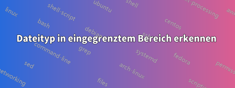 Dateityp in eingegrenztem Bereich erkennen
