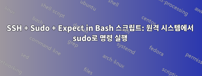 SSH + Sudo + Expect in Bash 스크립트: 원격 시스템에서 sudo로 명령 실행