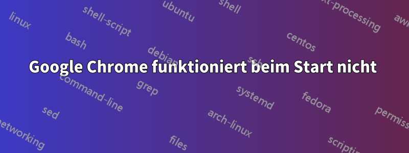 Google Chrome funktioniert beim Start nicht