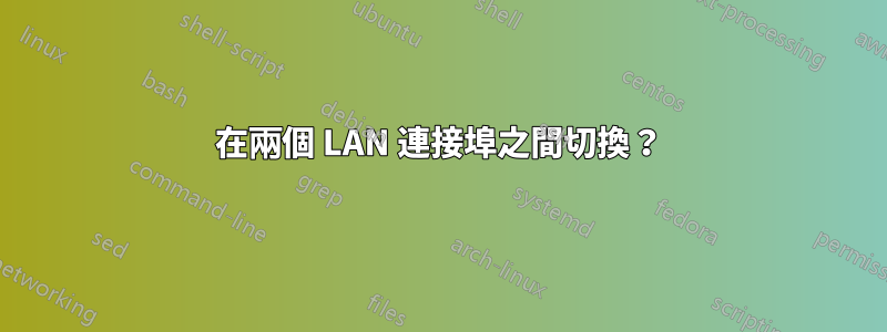 在兩個 LAN 連接埠之間切換？