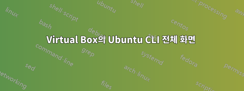 Virtual Box의 Ubuntu CLI 전체 화면