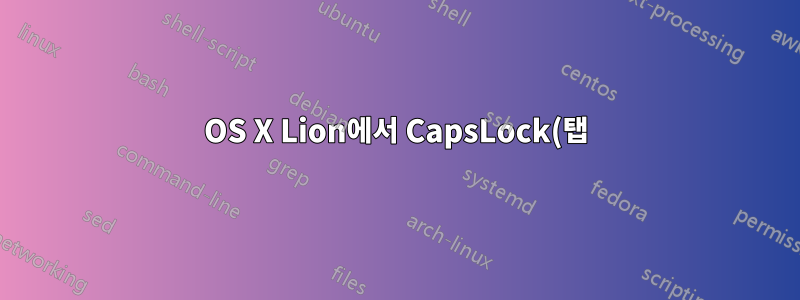 OS X Lion에서 CapsLock(탭)을 ESC로, CapsLock(홀드)을 CTRL로 다시 매핑