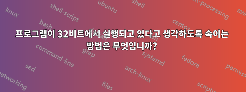 프로그램이 32비트에서 실행되고 있다고 생각하도록 속이는 방법은 무엇입니까?