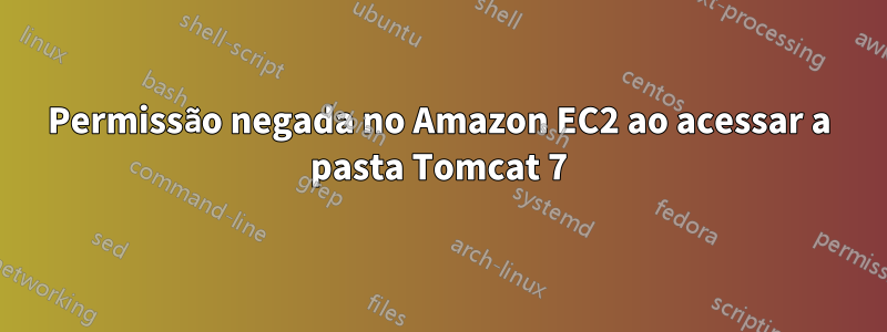 Permissão negada no Amazon EC2 ao acessar a pasta Tomcat 7