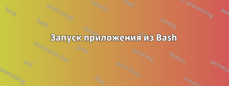 Запуск приложения из Bash