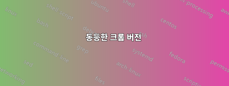 동등한 크롬 버전