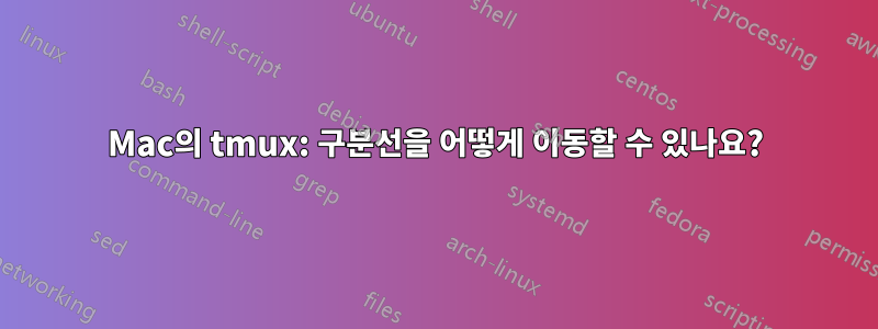 Mac의 tmux: 구분선을 어떻게 이동할 수 있나요?