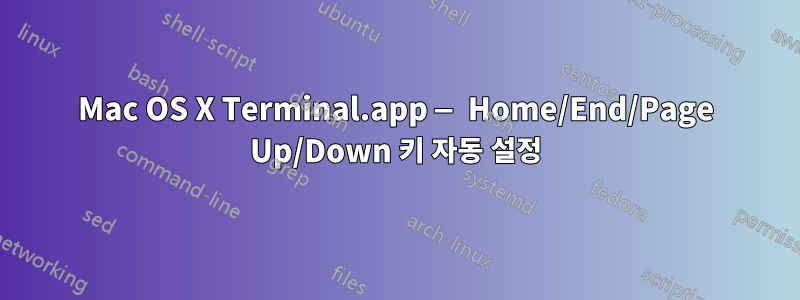 Mac OS X Terminal.app — Home/End/Page Up/Down 키 자동 설정
