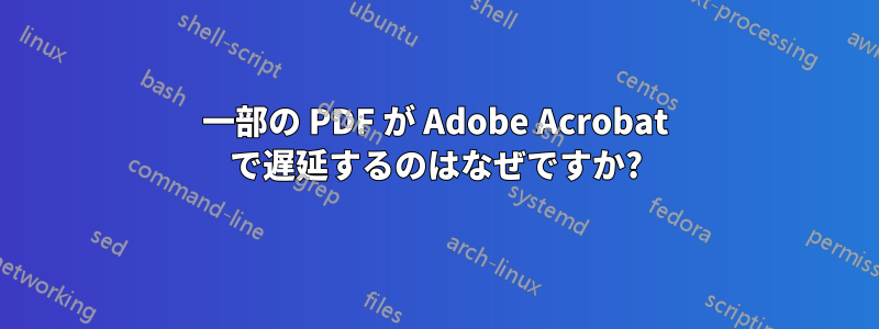 一部の PDF が Adob​​e Acrobat で遅延するのはなぜですか?