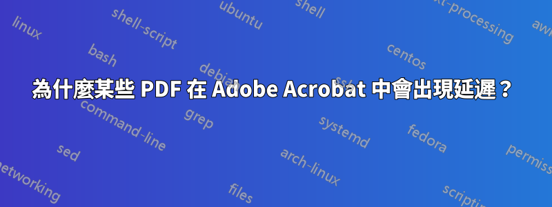 為什麼某些 PDF 在 Adob​​e Acrobat 中會出現延遲？