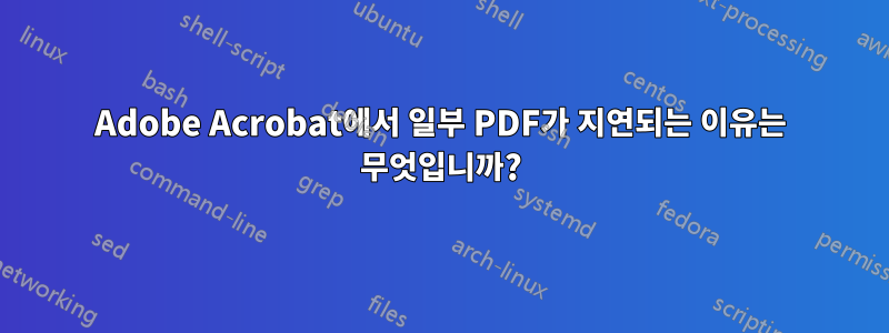 Adobe Acrobat에서 일부 PDF가 지연되는 이유는 무엇입니까?