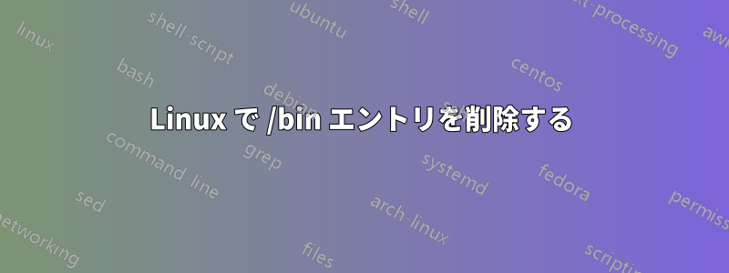 Linux で /bin エントリを削除する