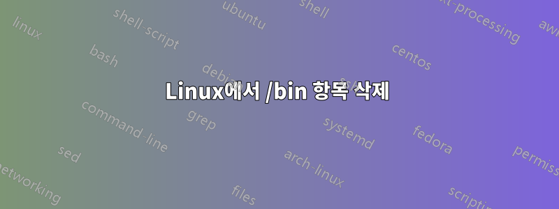 Linux에서 /bin 항목 삭제