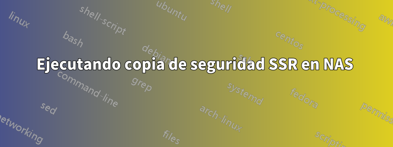 Ejecutando copia de seguridad SSR en NAS