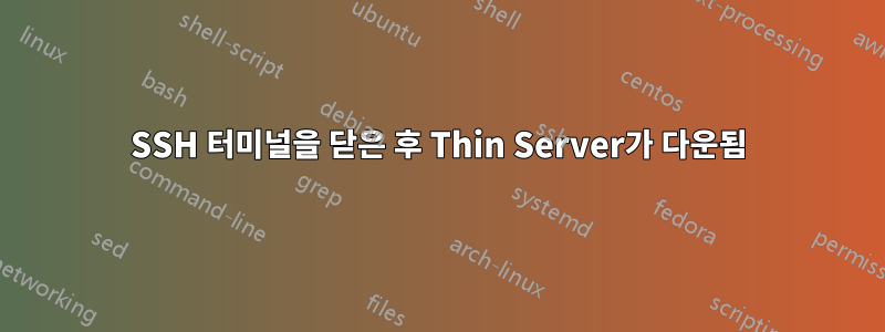 SSH 터미널을 닫은 후 Thin Server가 다운됨