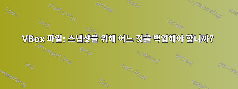 VBox 파일: 스냅샷을 위해 어느 것을 백업해야 합니까?
