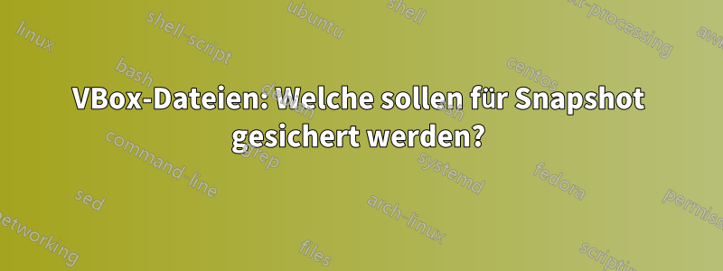 VBox-Dateien: Welche sollen für Snapshot gesichert werden?
