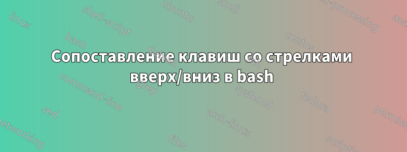Сопоставление клавиш со стрелками вверх/вниз в bash