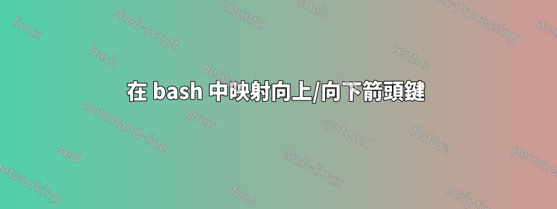 在 bash 中映射向上/向下箭頭鍵