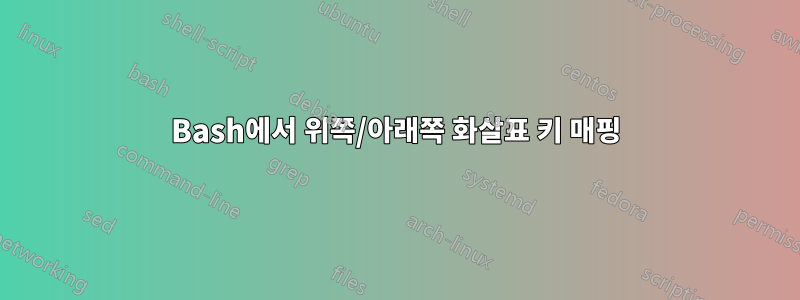 Bash에서 위쪽/아래쪽 화살표 키 매핑