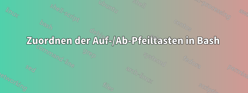 Zuordnen der Auf-/Ab-Pfeiltasten in Bash